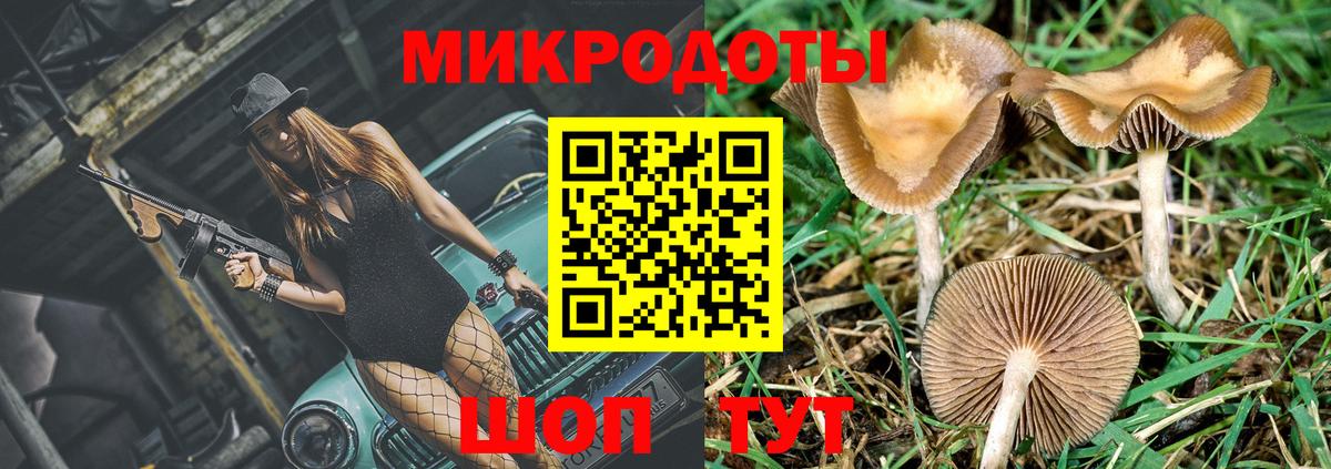 Псилоцибиновые грибы Psilocybe  Псилоцибиновые грибы Cubensis  Железногорск  Вход с VPN 